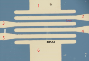 ReSe2 FET 背栅FET